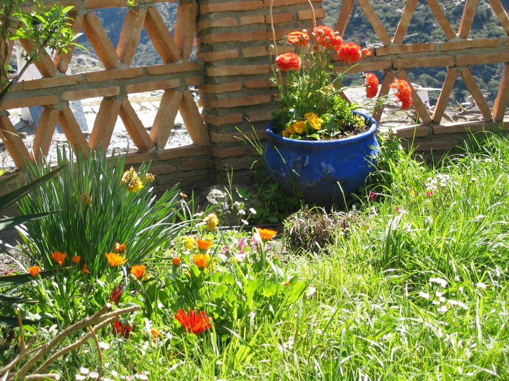 Bed and Breakfast Sierra Y Mar Ferreirola Esterno foto