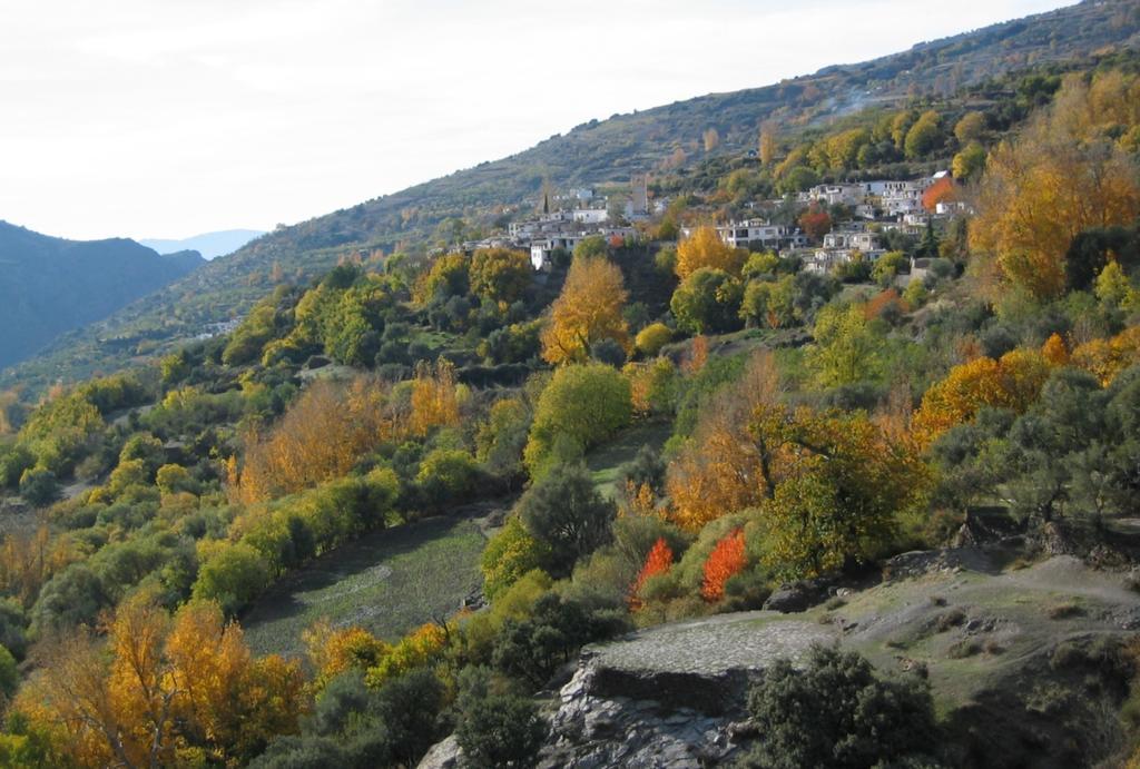Bed and Breakfast Sierra Y Mar Ferreirola Esterno foto