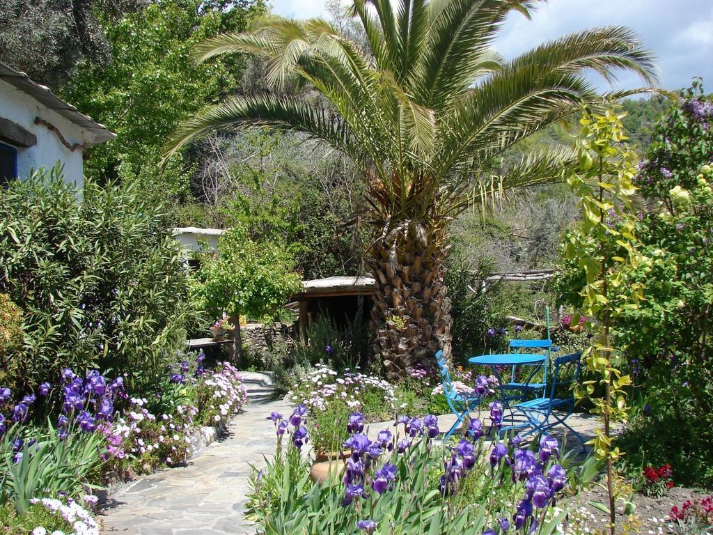 Bed and Breakfast Sierra Y Mar Ferreirola Esterno foto