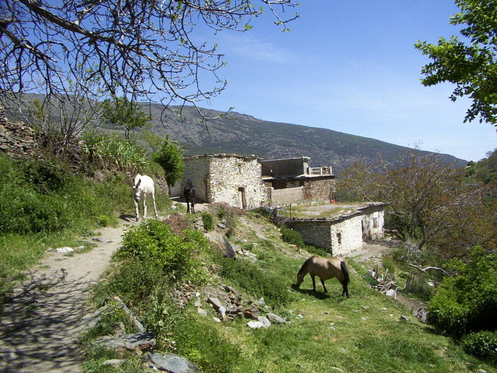 Bed and Breakfast Sierra Y Mar Ferreirola Esterno foto